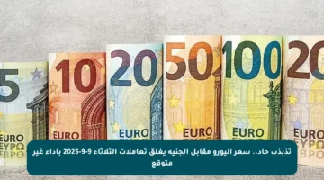 تذبذب حاد.. سعر اليورو مقابل الجنيه يغلق تعاملات الثلاثاء 9-9-2025 بأداء غير متوقع